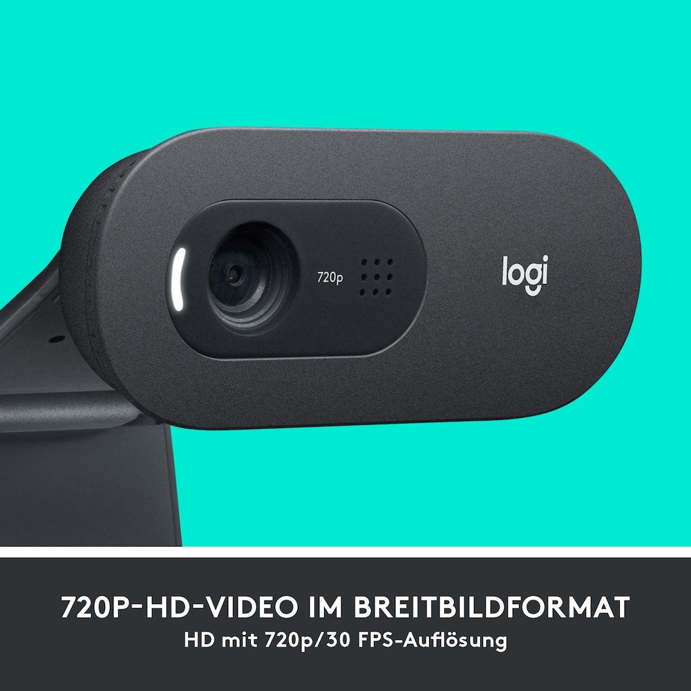 Logitech C505 HD Webcam USB schwarz