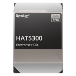 Synology HAT5300-12 - 12 TB 7200 rpm 256 MB 3,5 Zoll SATA 6 Gbit/s