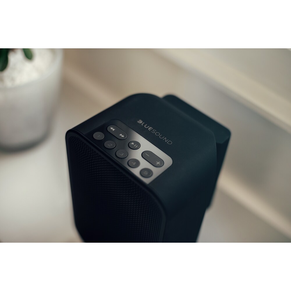 Bluesound Pulse Flex 2i schwarz portabler Streaming-Lautsprecher