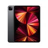 Apple iPad Pro 11" 2021 Wi-Fi + Cellular 256 GB Space Grau MHW73FD/A