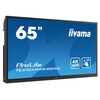 iiyama ProLite TE6504MIS-B2AG 163,9cm (65") 4K UHD Digital Signage Monitor HDMI