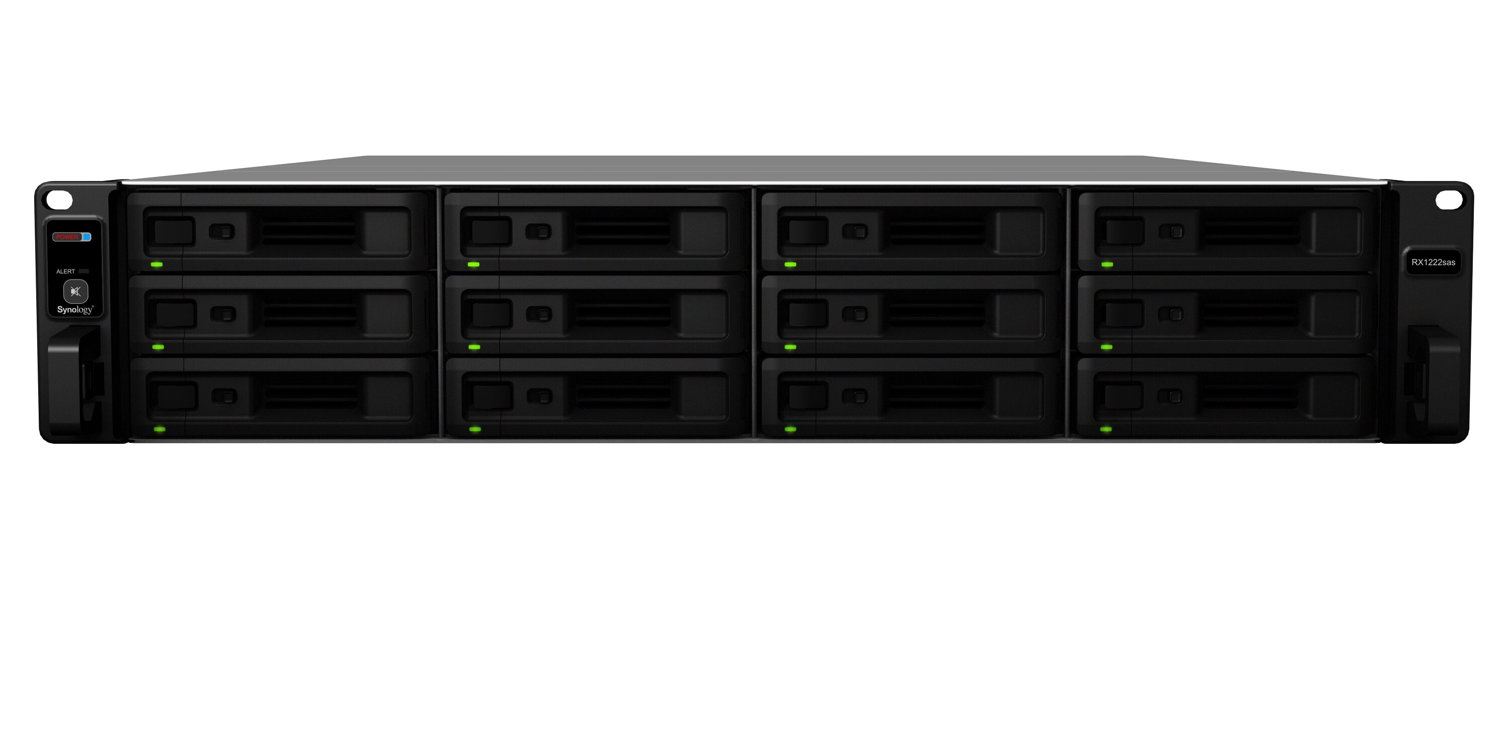 Synology RX1222sas Expansionseinheit 12-Bay