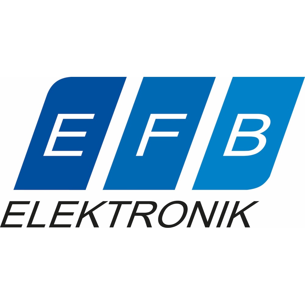 EFB-Elektronik 19" Wandgehäuse Basic, FLAT-Pack, Tiefe 450mm, RAL9010