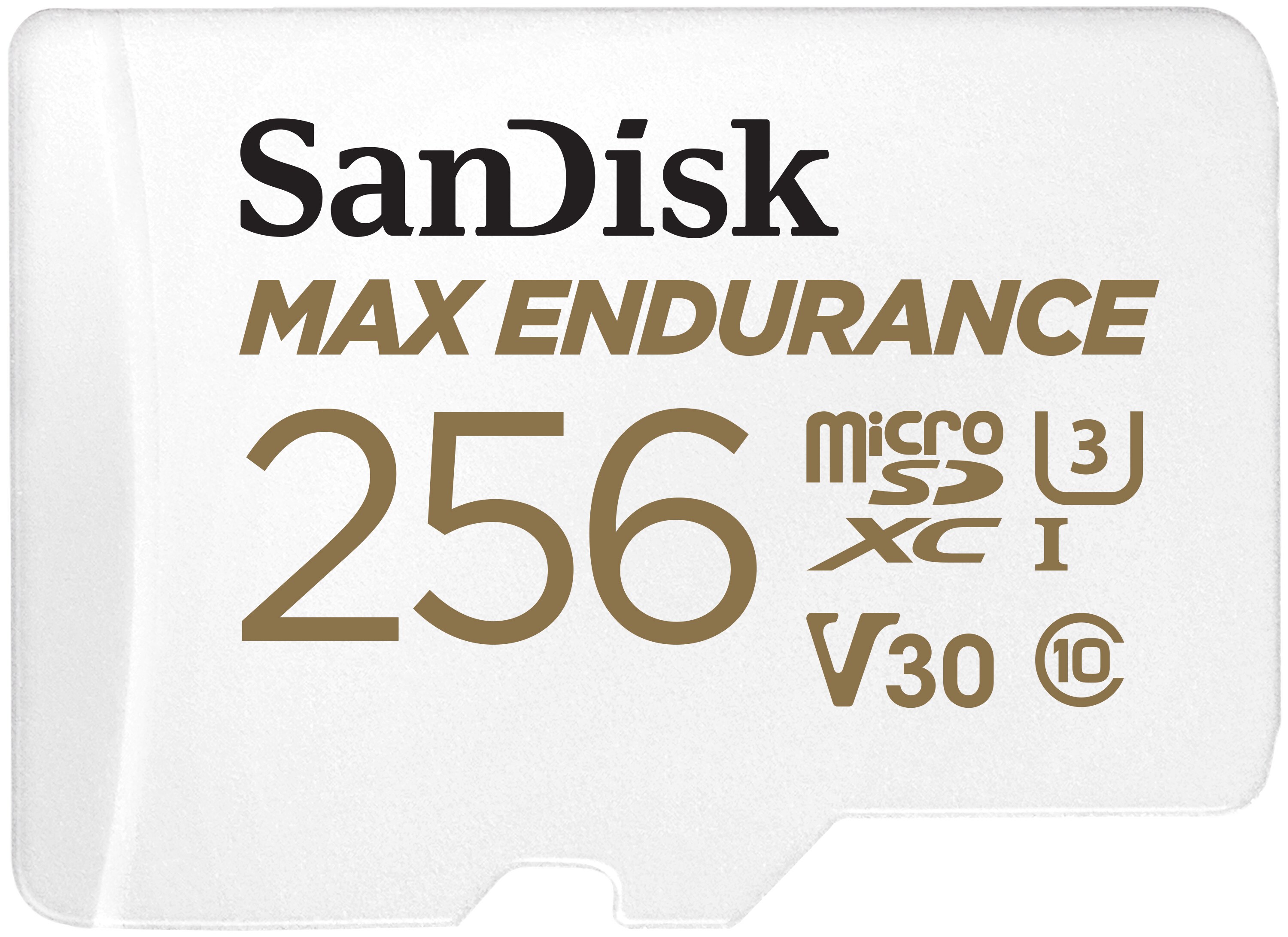 SanDisk Max Endurance microSDXC 256 GB Speicherkarte Kit