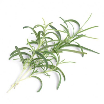 Véritable VERITABLE Lingot Nachfüllpack Rosmarin | 03760262510552