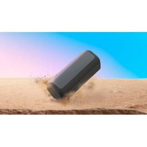 Sony SRS-XE300 - Tragbarer kabelloser Bluetooth-Lautsprecher schwarz