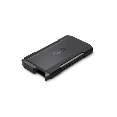 Mobile USB günstig Kaufen-SanDisk® PROFESSIONAL PRO-BLADE TRANSPORT NVMe SSD Leergehäuse. SanDisk® PROFESSIONAL PRO-BLADE TRANSPORT NVMe SSD Leergehäuse <![CDATA[• Mobiles Premium-SSD-Gehäuse zur ultraschnellen Workflow-Skalierung • SuperSpeed USB 20 Gbit/