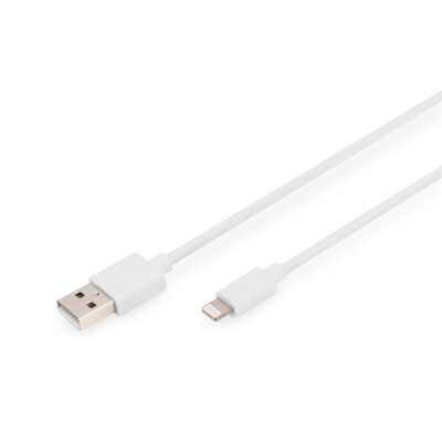 2m Kabel günstig Kaufen-DIGITUS Daten und Ladekabel USB-A zu Lightning, 2m, weiß. DIGITUS Daten und Ladekabel USB-A zu Lightning, 2m, weiß <![CDATA[• USB-A Daten- und Ladekabel • Fast Charging für kompatible (Lightning-Geräte - C89) Endgeräte • Unterstützt ei