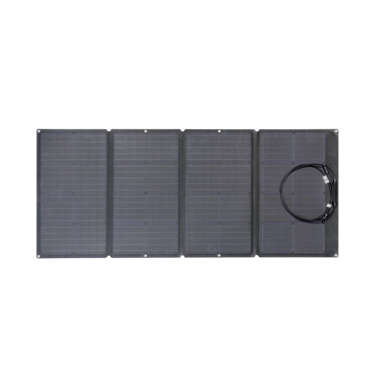 EcoFlow 160W tragbares Solar Panel IP68 mit Tasche