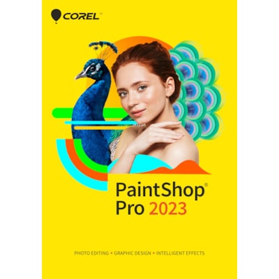 Corel PaintShop Pro 2023 (Key)