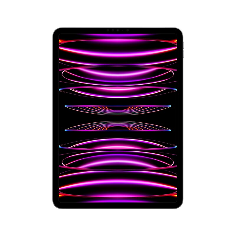 Apple iPad Pro 11" 2022 Wi-Fi 2 TB Space Grau MNXM3FD/A
