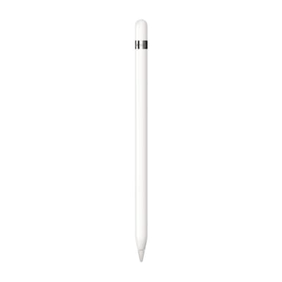 Apple Pencil 1.Generation 2022 inkl USB-C auf Pencil Adapter