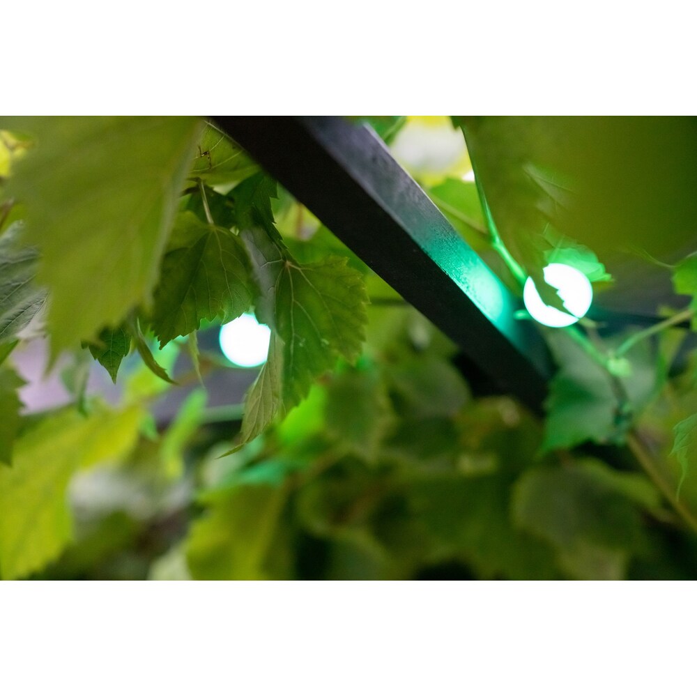 Lite Bulb Moments 10m Smart Outdoor Light Chain – 50 x Globe 3 cm