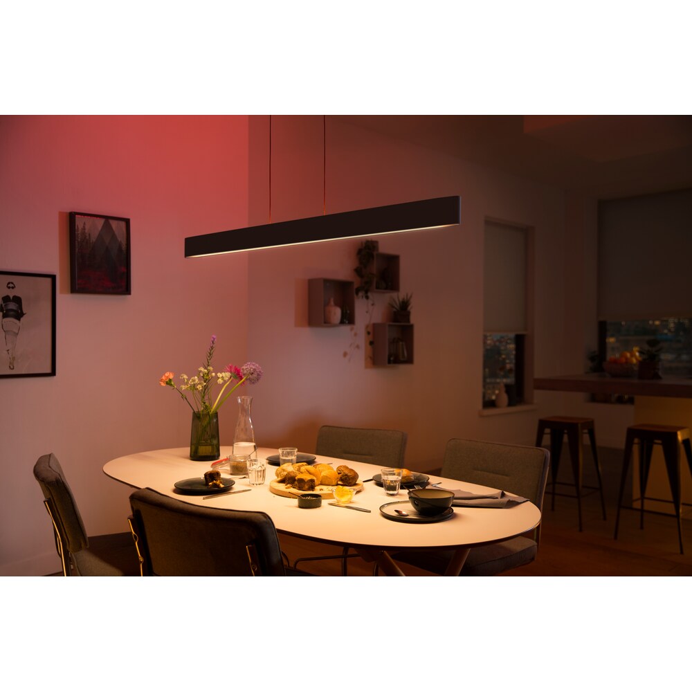 Philips Hue White &amp; Color Ambiance Ensis schwarz inkl. Dimmschalter