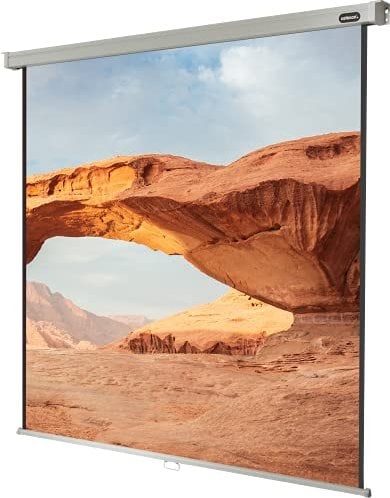 celexon Leinwand Rollo Professional 300 x 300 cm