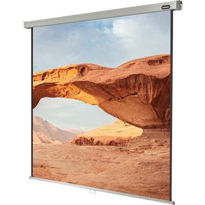 ck Typ günstig Kaufen-celexon Leinwand Rollo Professional 300 x 300 cm. celexon Leinwand Rollo Professional 300 x 300 cm <![CDATA[• Produktbreite: 315 cm • Produkttiefe:t9 cm • Produkthöhe:t9 cm • Produktgewicht:t21,5 kg • Halterungsgerätetyp: Decke, Wand]]>. 