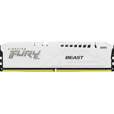 32GB RAM günstig Kaufen-32GB (1x32GB) KINGSTON FURY Beast White EXPO DDR5-5200 CL36 RAM Arbeitsspeicher. 32GB (1x32GB) KINGSTON FURY Beast White EXPO DDR5-5200 CL36 RAM Arbeitsspeicher <![CDATA[• 32 GB (RAM-Module: 1 Stück) • DDR5-RAM 5200 MHz ECC • CAS Latency (CL) 36 