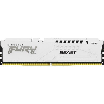 32GB (1x32GB) KINGSTON FURY Beast White XMP DDR5-5200 CL40 RAM Arbeitsspeicher