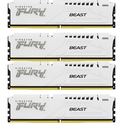 in 2 günstig Kaufen-64GB (4x16GB) KINGSTON FURY Beast White XMP DDR5-5200 CL40 RAM Speicher Kit. 64GB (4x16GB) KINGSTON FURY Beast White XMP DDR5-5200 CL40 RAM Speicher Kit <![CDATA[• 64 GB (RAM-Module: 4 Stück) • DDR5-RAM 5200 MHz ECC • CAS Latency (CL) 40 • Anschl