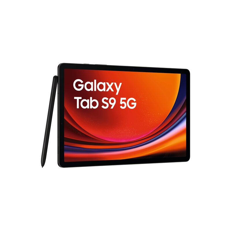 Samsung GALAXY Tab S9 X716B 5G 256GB graphite Android 13.0 Tablet