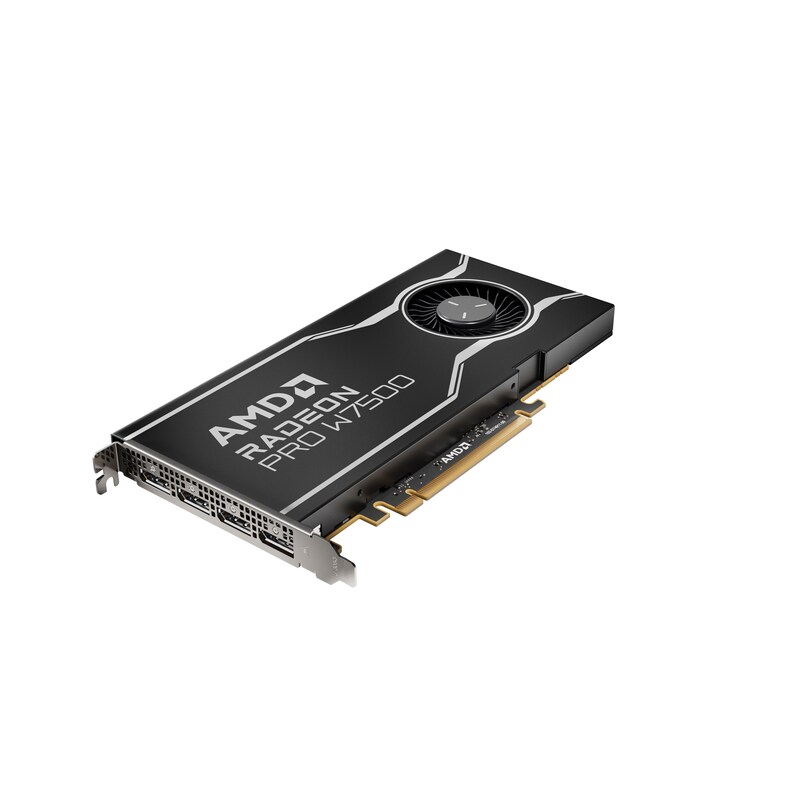 AMD Radeon Pro W7500 8GB GDDR6 Workstation Grafikkarte 4x DP 2.1