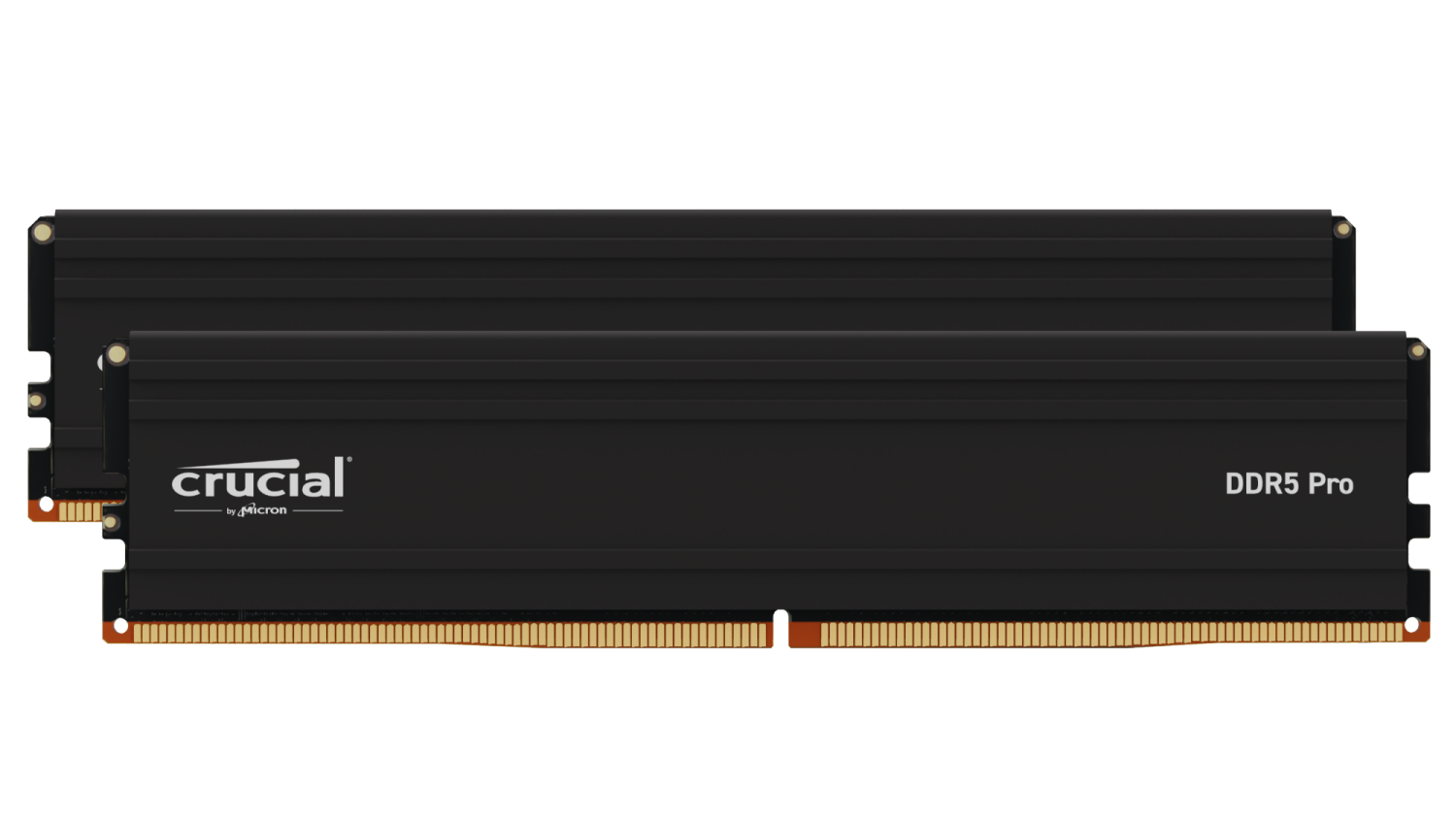 32GB (2x16GB) CRUCIAL Pro DDR5-5600 CL46 UDIMM RAM Speicherkit