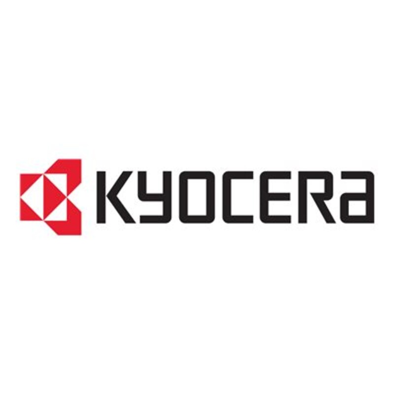 Kyocera Speichererweiterung MD3-1024 (b) (1 GB)