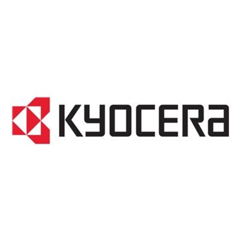 Kyocera Speichererweiterung MDDR3-2GB (b) (2 GB)