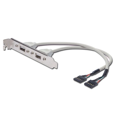 EL BI günstig Kaufen-DIGITUS USB Slotblechkabel, 2x Typ A - 2x5pin IDC, Bu/Bu,0.25m beige. DIGITUS USB Slotblechkabel, 2x Typ A - 2x5pin IDC, Bu/Bu,0.25m beige <![CDATA[• USB-Kabel • Anschlüsse: USB Typ A 2x und 2x IDC (5-pin), Verbinder • Farbe: schwarz • Adern aus 