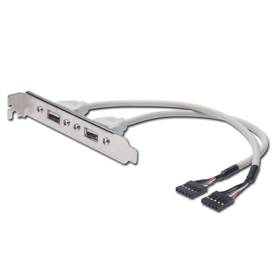USB Kabel günstig Kaufen-DIGITUS USB Slotblechkabel, 2x Typ A - 2x5pin IDC, Bu/Bu,0.25m beige. DIGITUS USB Slotblechkabel, 2x Typ A - 2x5pin IDC, Bu/Bu,0.25m beige <![CDATA[• USB-Kabel • Anschlüsse: USB Typ A 2x und 2x IDC (5-pin), Verbinder • Farbe: schwarz • Adern aus 