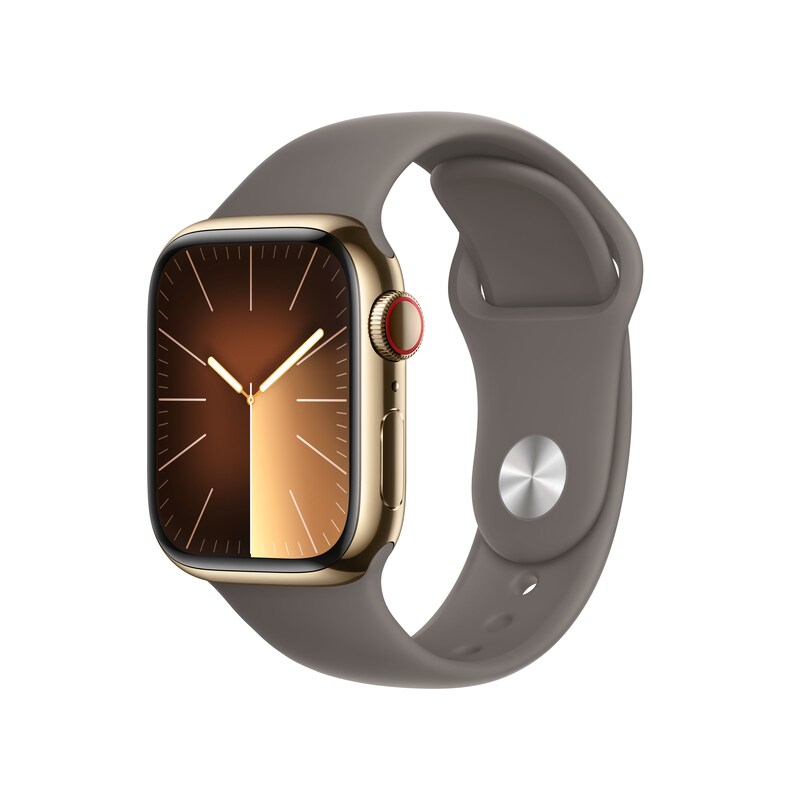 Apple Watch Series 9 LTE 41mm Edelstahl Gold Sportarmband Tonbraun S/M