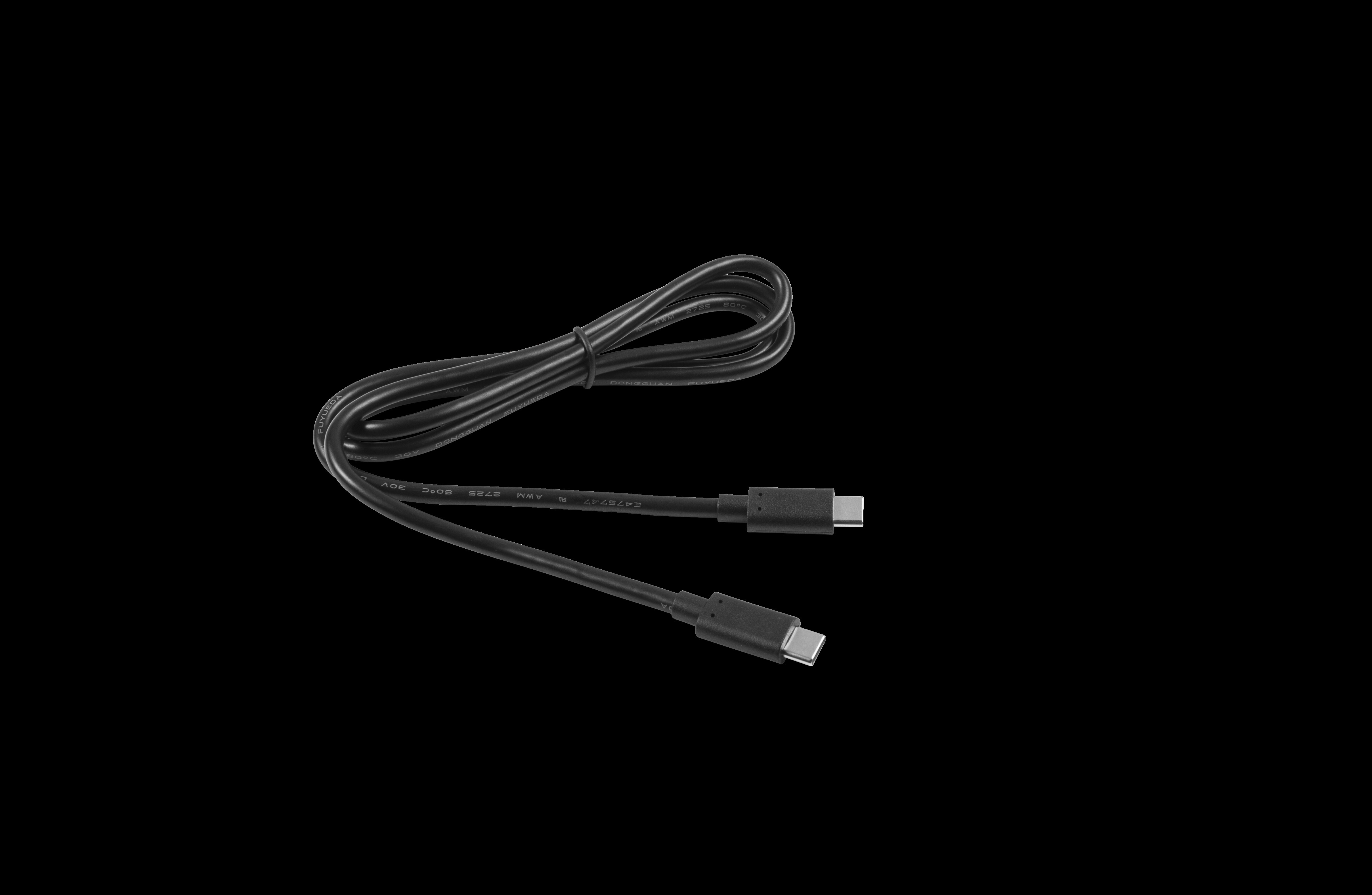 Garmin USB-Kabel &ndash; Typ C auf Typ C (1 m)