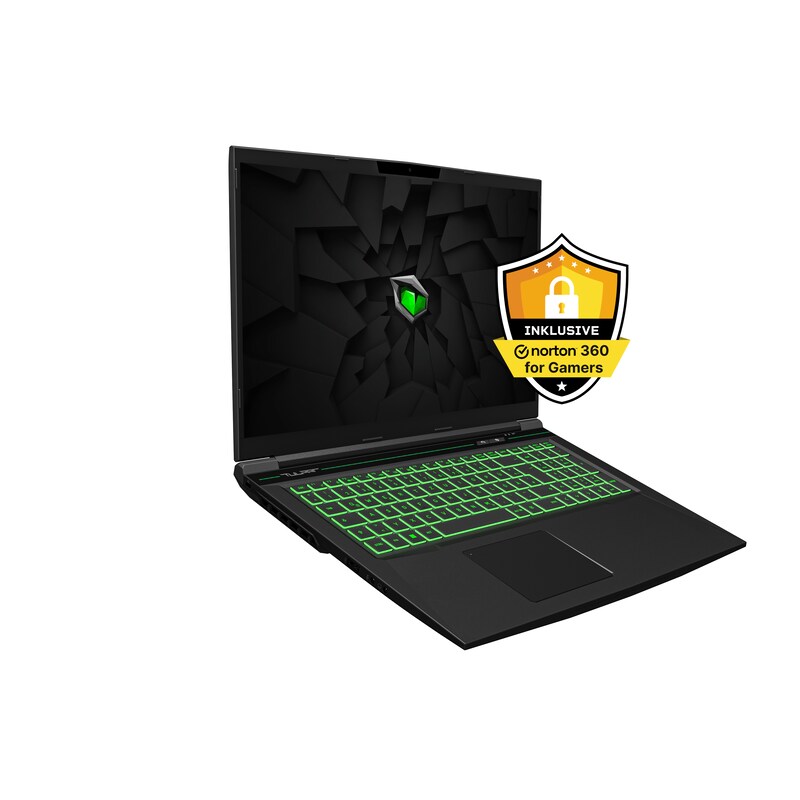 Tulpar T7 V20.7.3 17,3" FHD IPS 144Hz i7-12650H 16GB/1TB SSD RTX4060 DOS