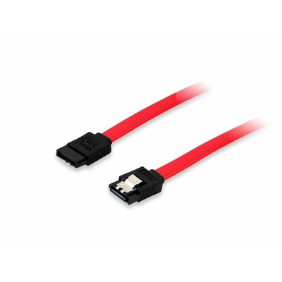 zu B günstig Kaufen-EQUIP 111900 SATA III Kabel, 0.5m. EQUIP 111900 SATA III Kabel, 0.5m <![CDATA[• Herausnehmbare Münzfächer für flexible Bargeldverwaltung • Integriertes RJ11-Kabel zum Anschließen an Belegdruckern • Schloss mit: 1 - öffnen, 2 - Auotmatisch öffn