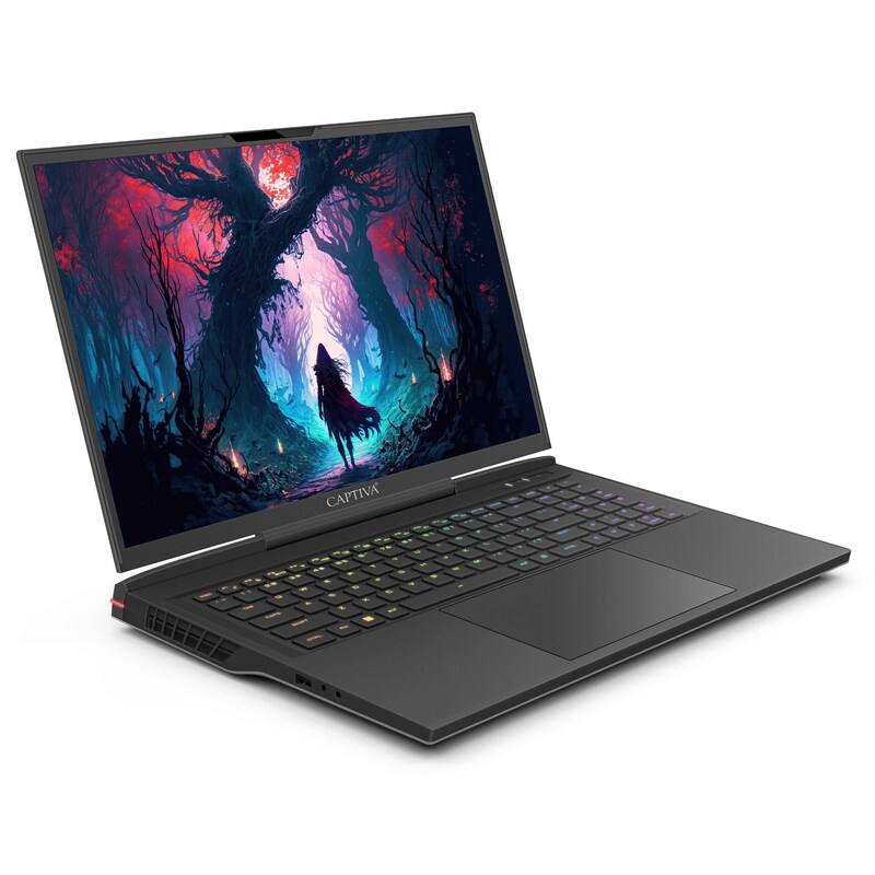 Captiva Ultimate Gaming I81-608 17,3" WQXGA i9-14900HX 64GB/2TBSSD RTX4090 Win11