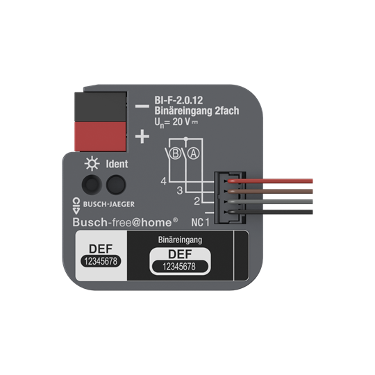BUSCH JAEGER Bin&auml;reingang, 2fach, UP mit Kontaktabfragespannung