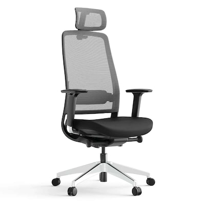 Atmungsaktive Mesh günstig Kaufen-Yaasa Chair Expert - schwarz. Yaasa Chair Expert - schwarz <![CDATA[• Agiler Premium-Bürostuhl mit anpassbare Kopfstütze • Atmungsaktiver Netzrücken aus hochwertiges Mesh-Material • Mit Synchronmechanik und seitlicher Wippfunktion der Rückenlehn