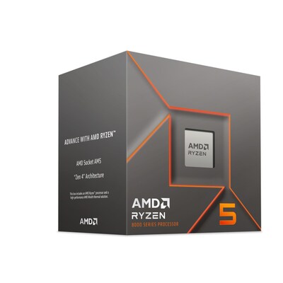 AMD Ryzen 5 8400F (6x 4,2 GHz) 16 MB L3 Cache Sockel AM5 CPU Boxed