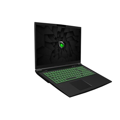 32/16GB günstig Kaufen-Tulpar T7 V20.8 i7-12700H 16GB/1TB SSD 17,3"FHD 144Hz RTX4060 W11. Tulpar T7 V20.8 i7-12700H 16GB/1TB SSD 17,3"FHD 144Hz RTX4060 W11 <![CDATA[• Intel Core i7 12700H Prozessor (bis zu 4.7GHz) - 14 Kerne • 43.94 cm (17.3