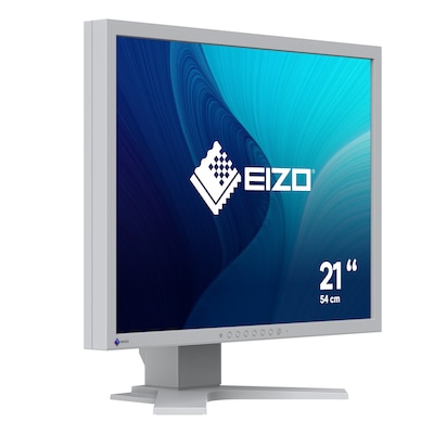 EIZO Flexscan S2134-GY 54cm (21,3") UXGA IPS Monitor VGA/DVI/DP