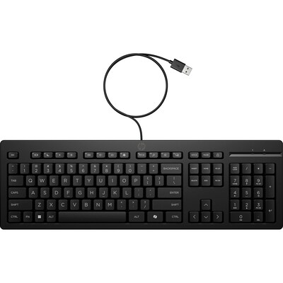 HP 125 Tastatur Schwarz - USB-A, integrierter Nummernblock