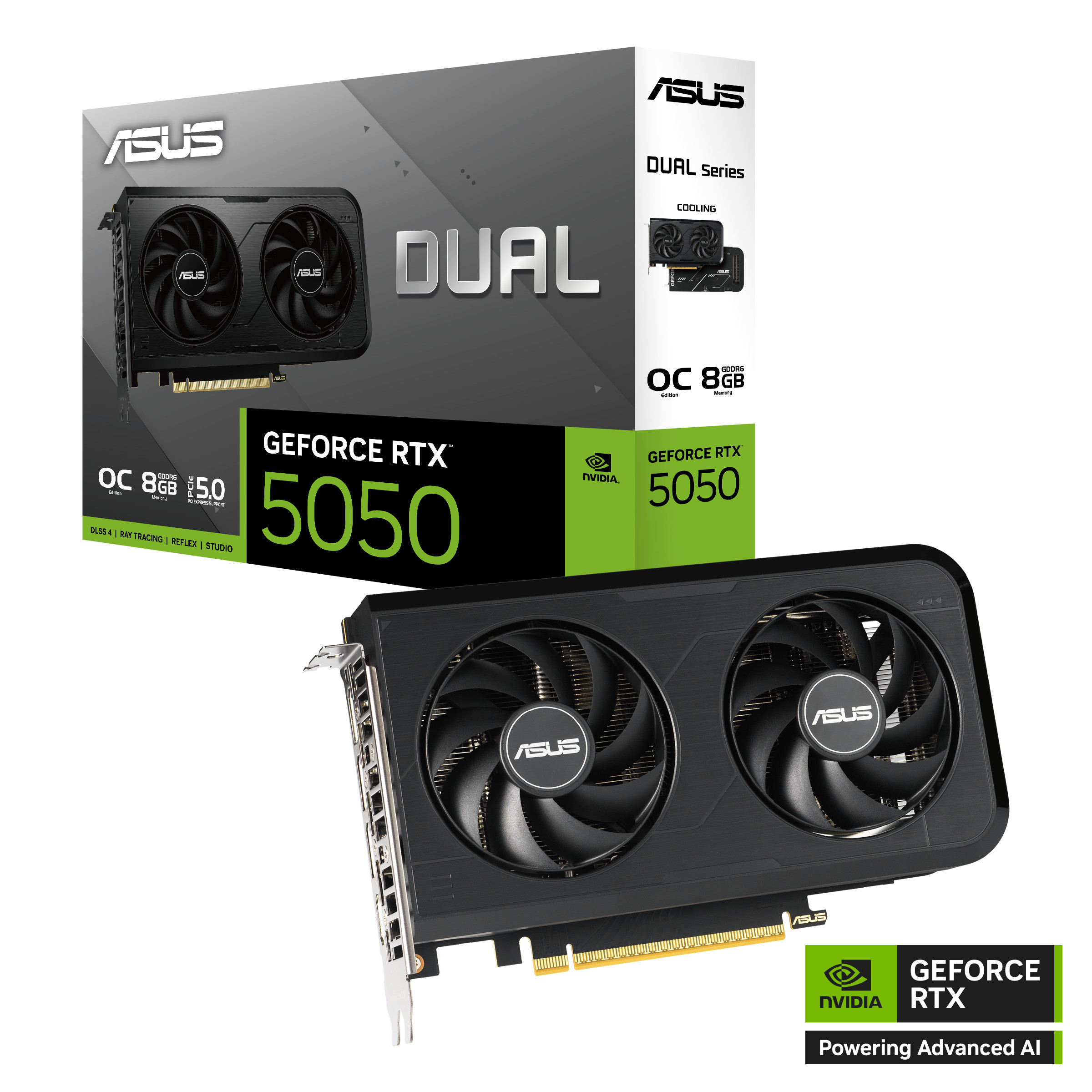 ASUS DUAL GeForce RTX 5050 OC DUAL-RTX5050-O8G Grafikkarte 8GB GDDR6, 1xHDMI, 3xDP