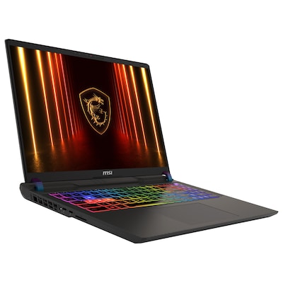 MSI Vector 16 HX AI A2XWHG-476 Intel Core Ultra 9 275HX Laptop 40,6 cm (16") Quad HD+ 16 GB DDR5-SDRAM 1 TB SSD NVIDIA GeForce RTX 5070 Ti Wi-Fi 6E (802.11ax) Windows 11 Home Grau