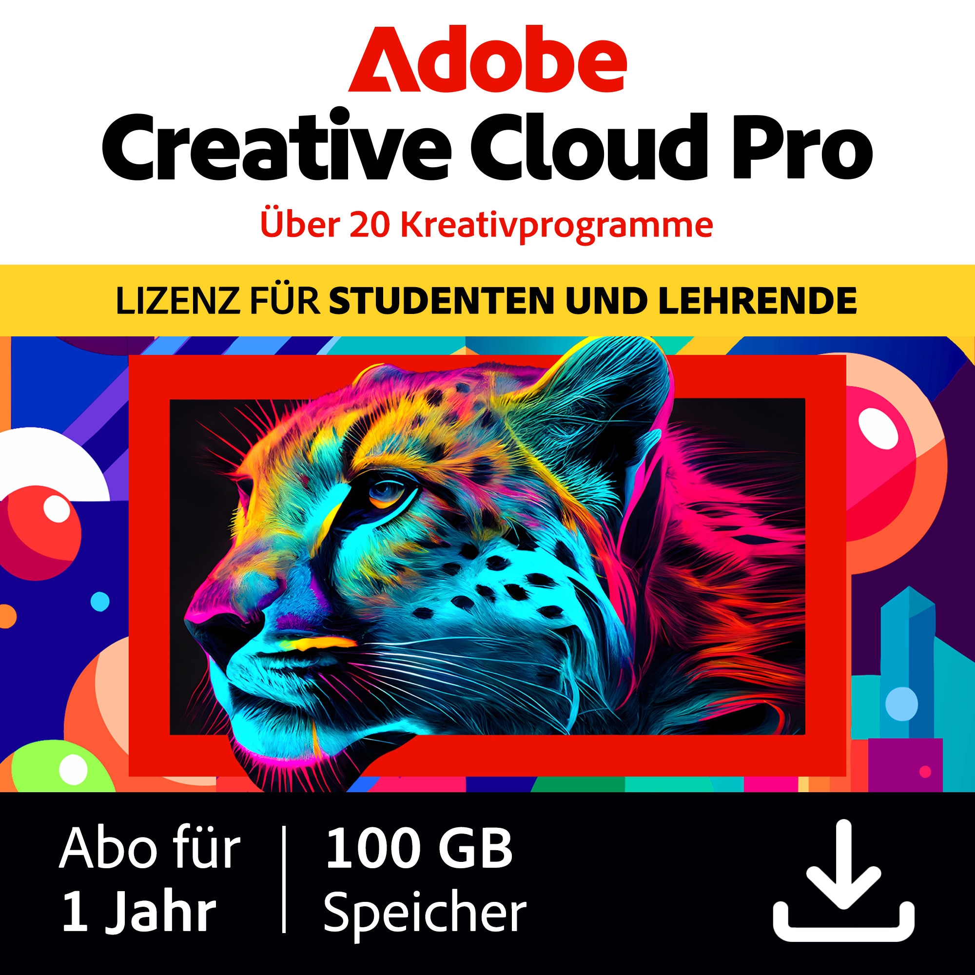 Adobe Creative Cloud Pro STE - Bild 8