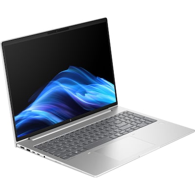 HP  EliteBook 6 G1a 16″ WUXGA IPS R5-230 16GB/512GB SSD W11P AD3J9ET | 00199251505287