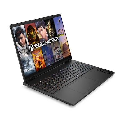 HP HyperX OMEN 15-ga0051ng 15,3