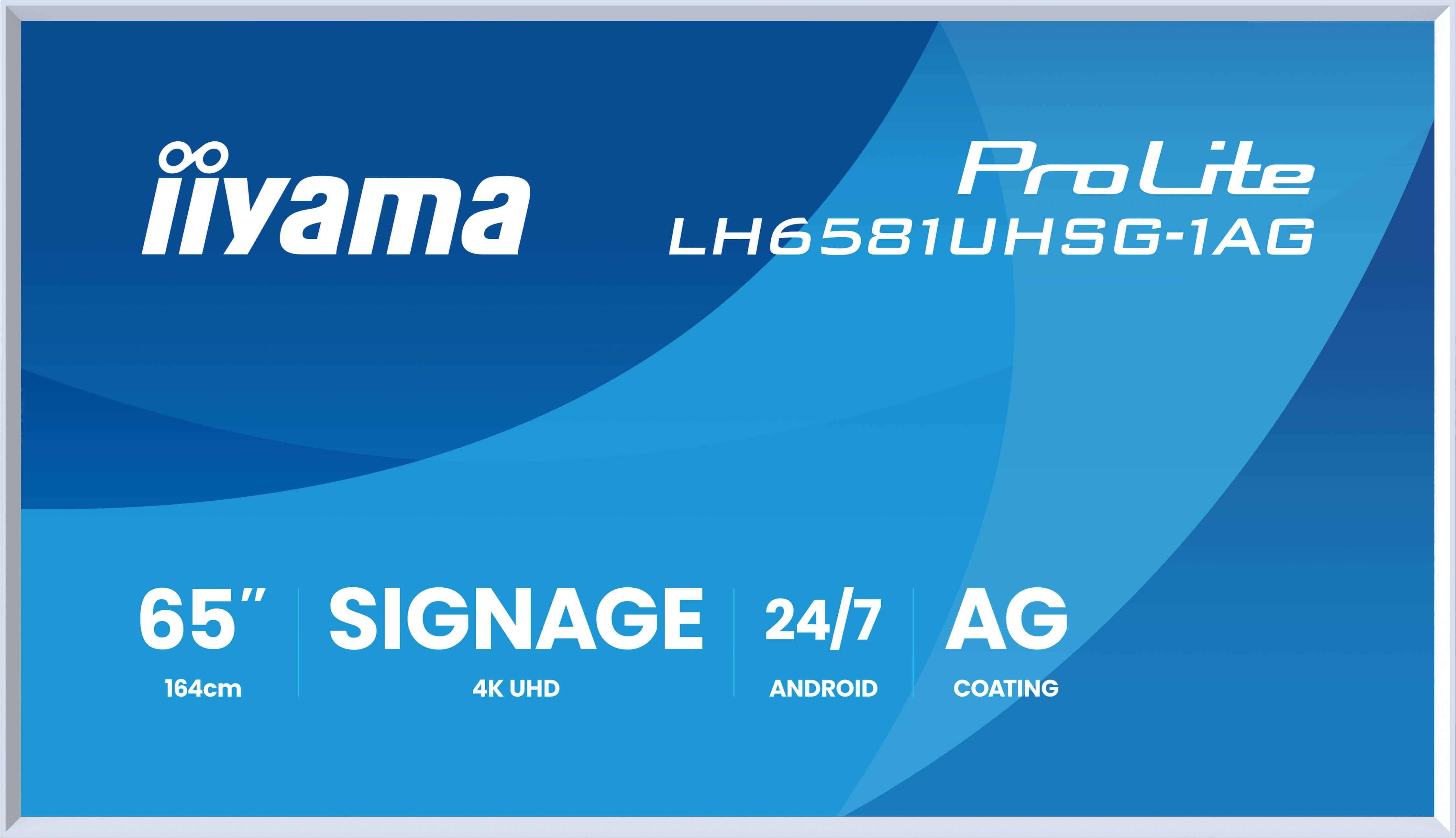 iiyama ProLite LH6581UHSG-1AG 163,8cm (64,5") 4K UHD Monitor HDMI/USB-C